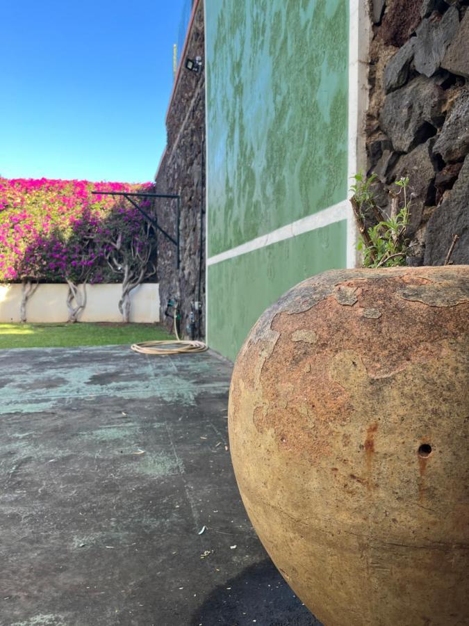 Dream Garden Leilighet Santa Cruz de Tenerife Eksteriør bilde