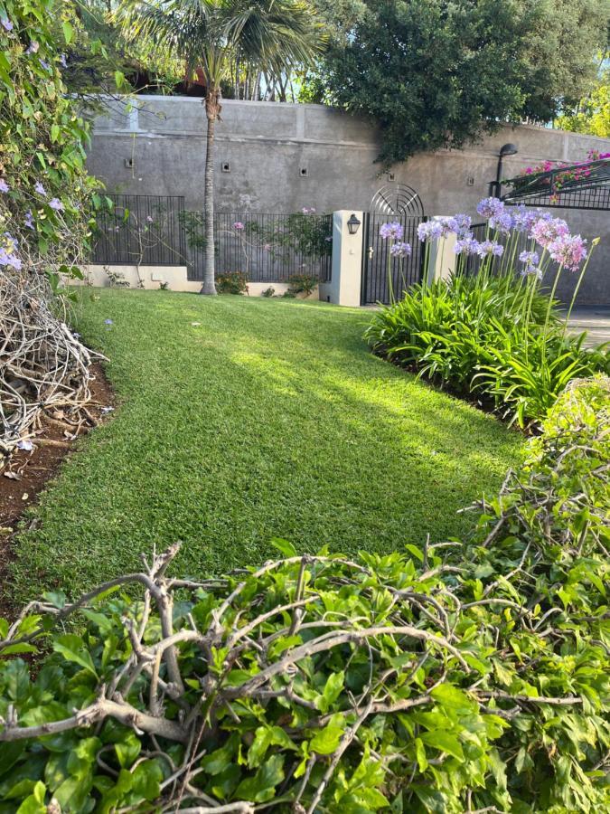 Dream Garden Leilighet Santa Cruz de Tenerife Eksteriør bilde
