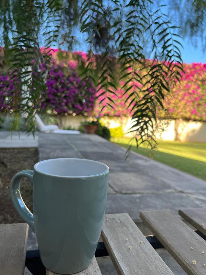 Dream Garden Leilighet Santa Cruz de Tenerife Eksteriør bilde
