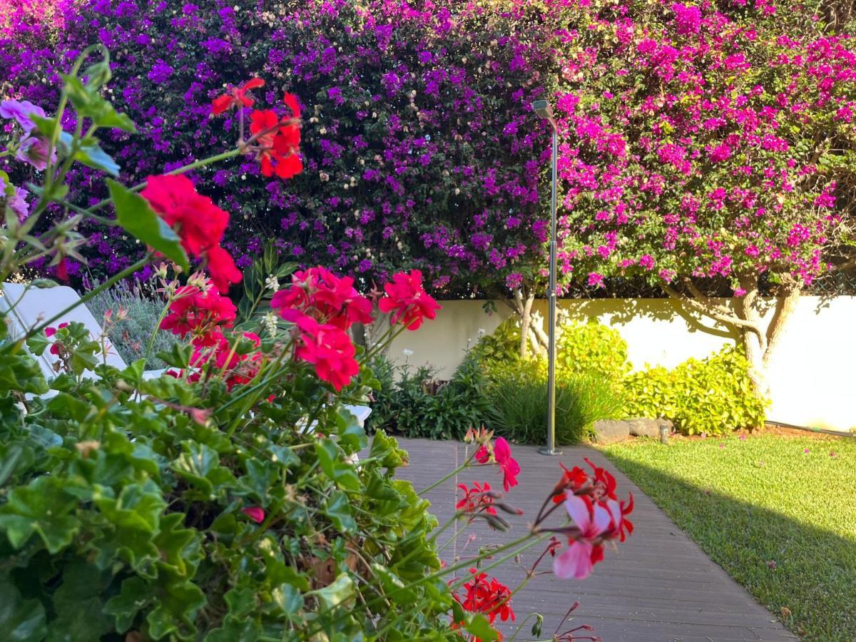 Dream Garden Leilighet Santa Cruz de Tenerife Eksteriør bilde