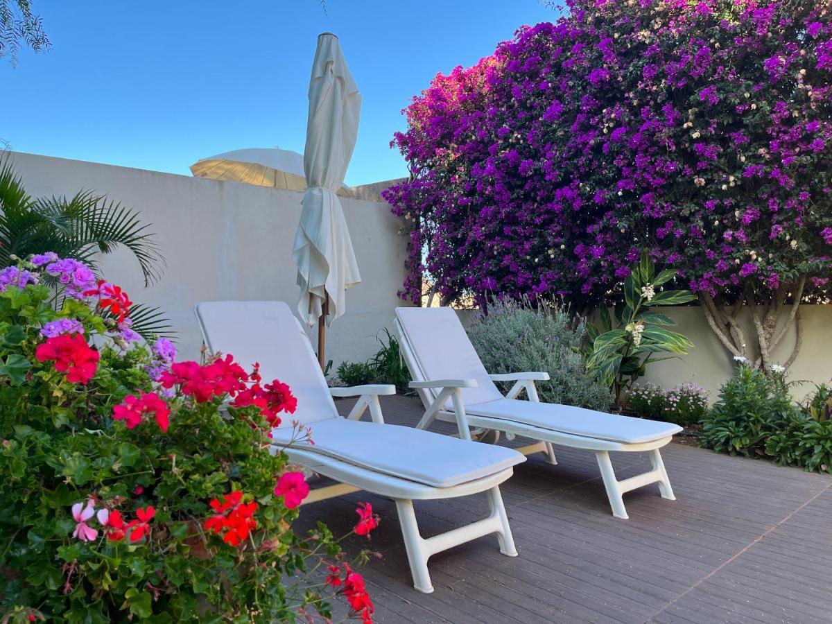 Dream Garden Leilighet Santa Cruz de Tenerife Eksteriør bilde