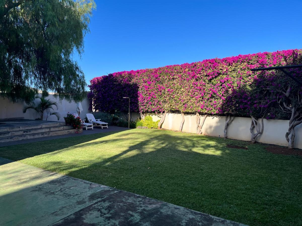 Dream Garden Leilighet Santa Cruz de Tenerife Eksteriør bilde